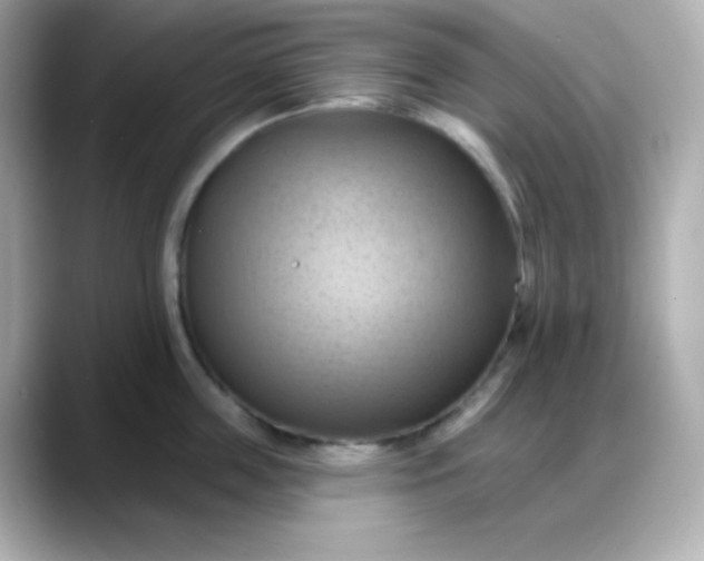 X0000088380859200706051058