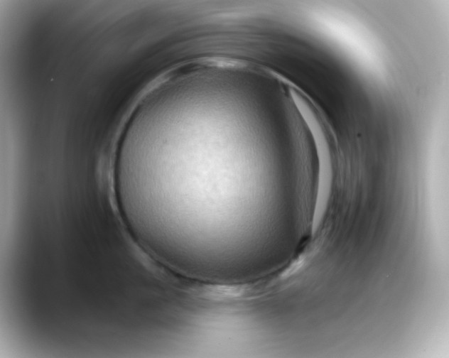 X0000088380861200706051058