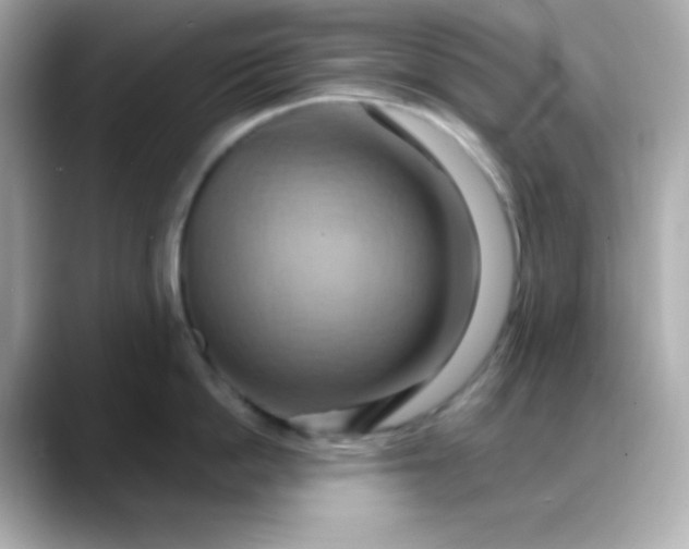 X0000088380862200706051058