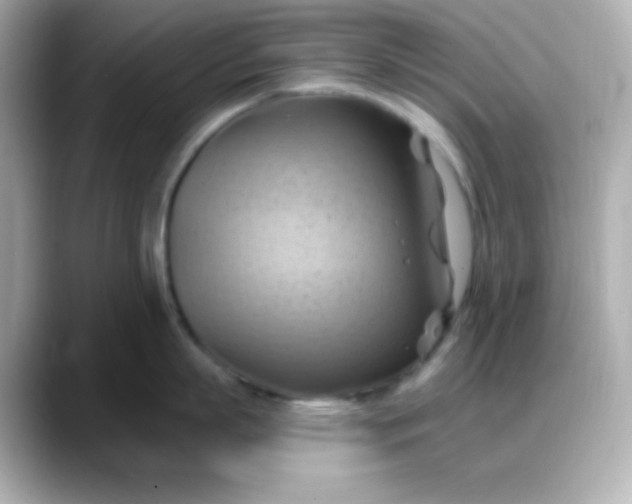 X0000088380863200706051058