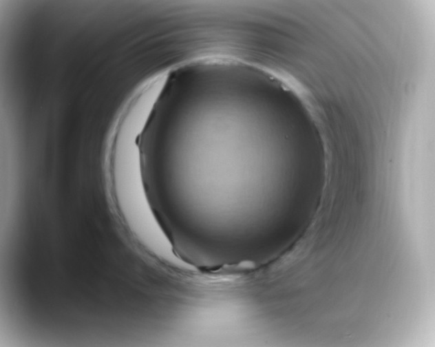 X0000088380864200706051058