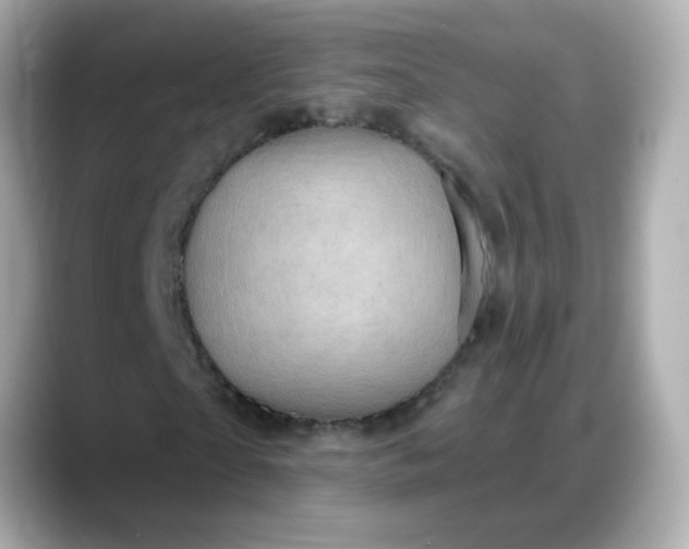 X0000088380865200706051058
