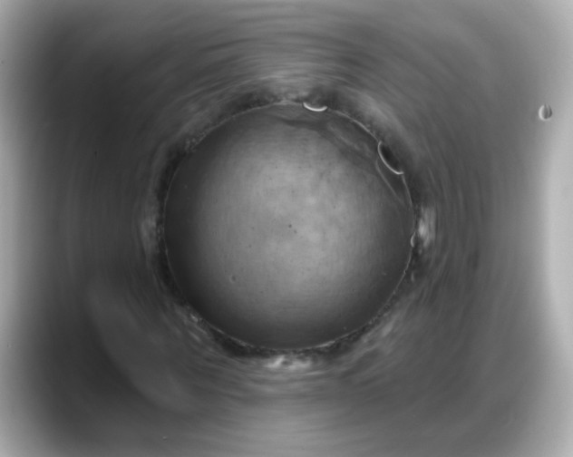 X0000088380867200706051058