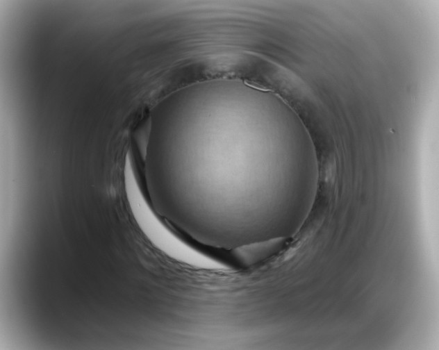X0000088380868200706051058