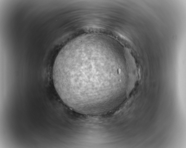 X0000088380870200706051058