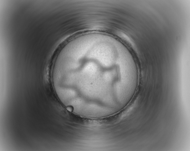 X0000088380875200706051057