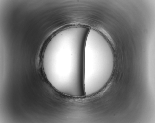 X0000088380876200706051057