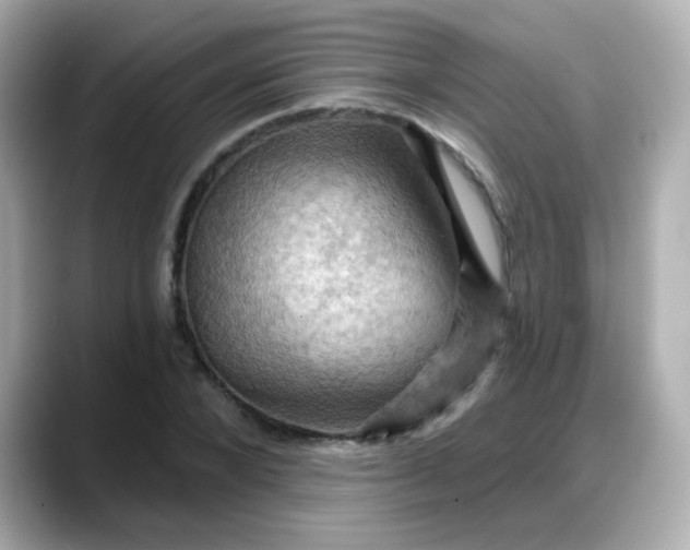 X0000088380880200706051057