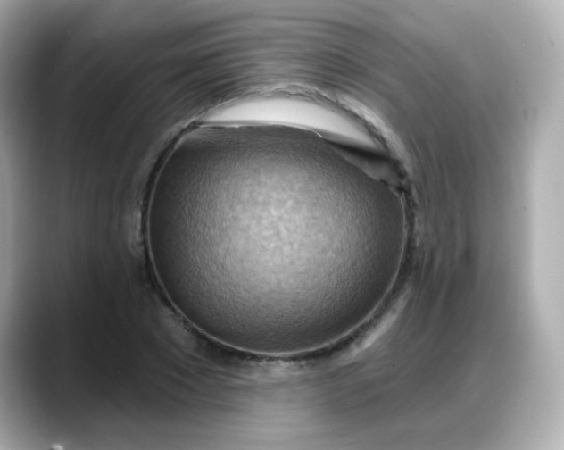 X0000088380881200706051057
