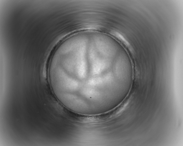X0000088380883200706051057