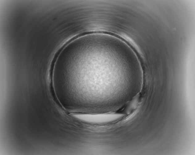 X0000088380885200706051057