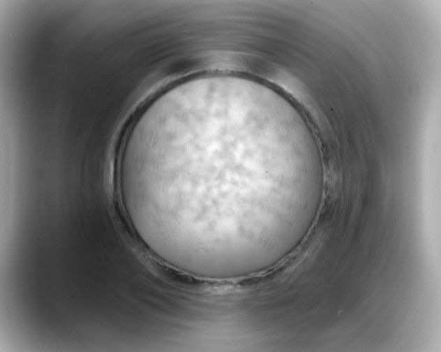 X0000088380886200706051057