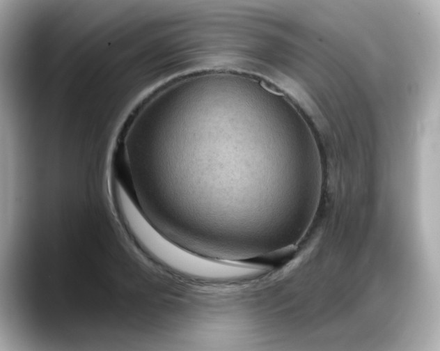 X0000088380888200706051057