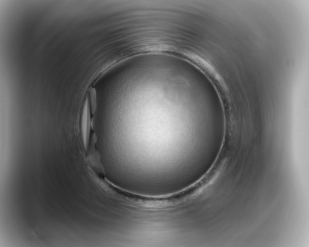 X0000088380889200706051057