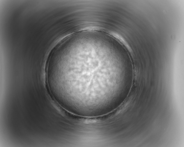 X0000088380890200706051057
