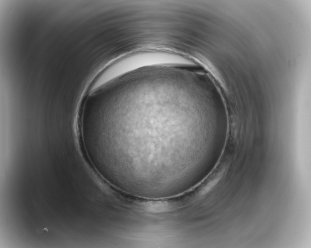 X0000088380893200706051057