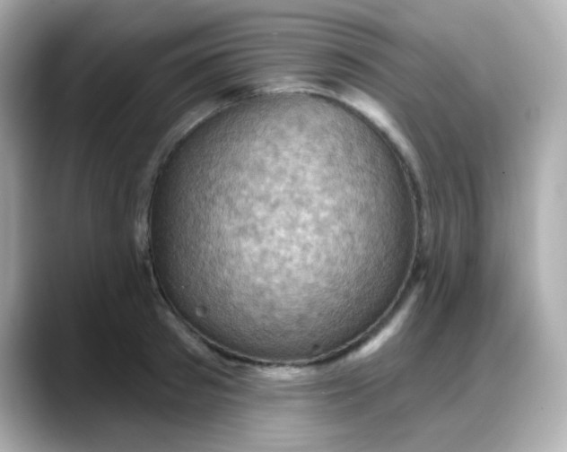 X0000088380897200706051057