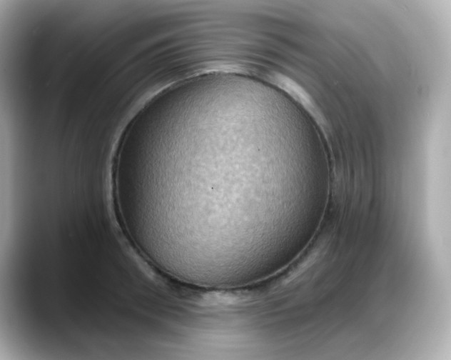 X0000088380898200706051057