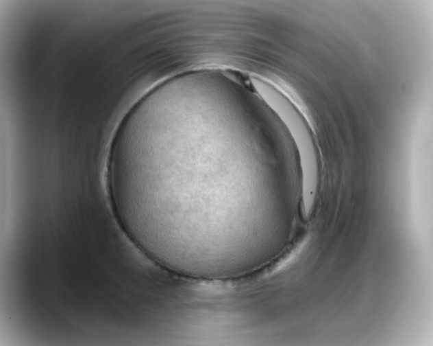 X0000088380901200706051057