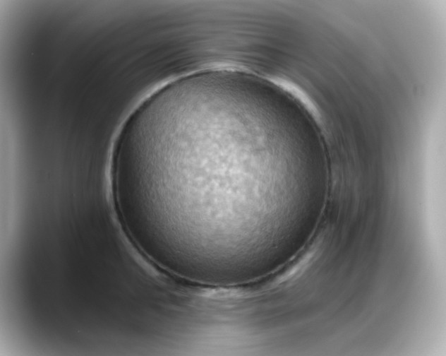 X0000088380902200706051057