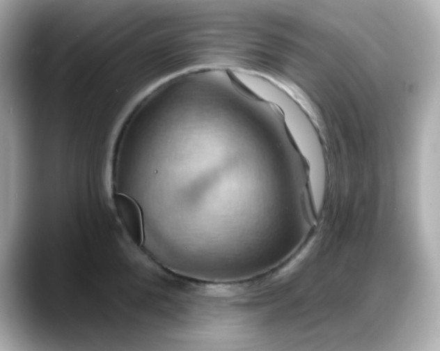 X0000088380904200706051057