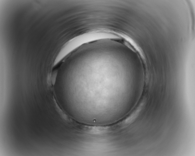 X0000088380905200706051057