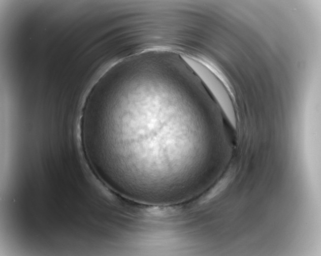 X0000088380906200706051057