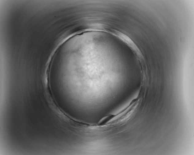 X0000088380908200706051057