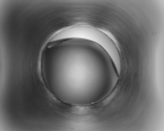 X0000088380910200706051057