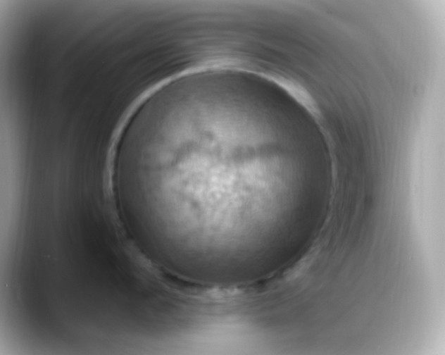 X0000088380912200706051057
