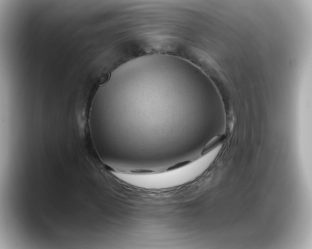 X0000088380915200706051057