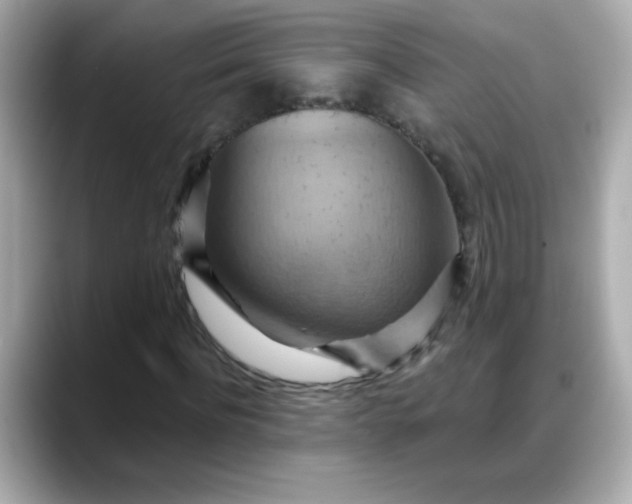 X0000088380916200706051057