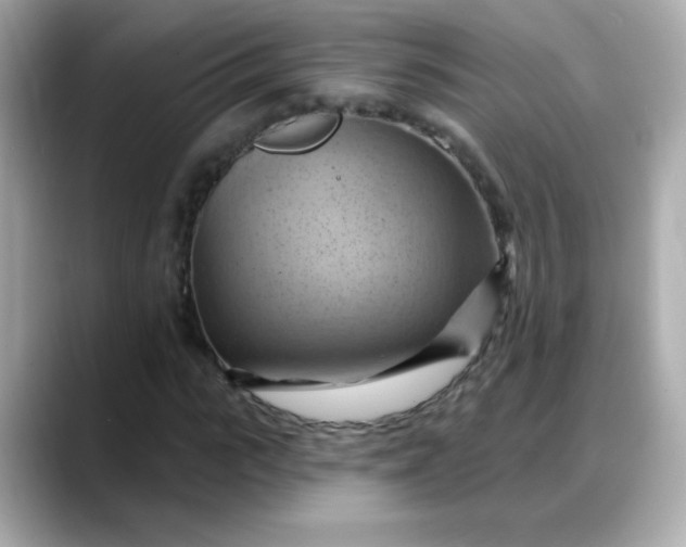 X0000088380919200706051057