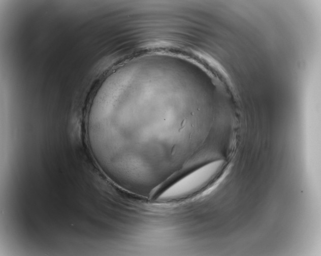 X0000088380921200706051057