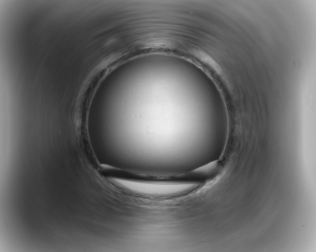 X0000088380922200706051057