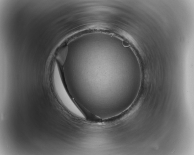 X0000088380923200706051057