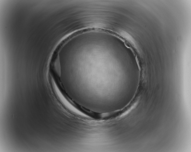 X0000088380924200706051057