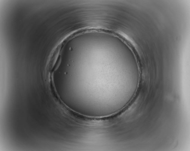 X0000088380925200706051057