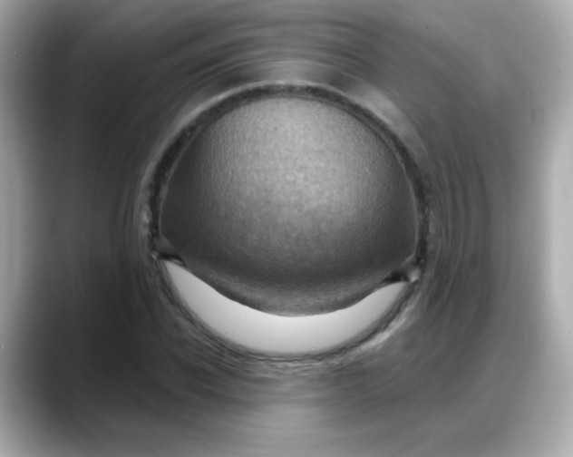 X0000088380926200706051057