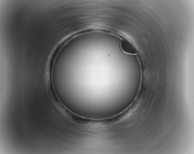 X0000088380931200706051057