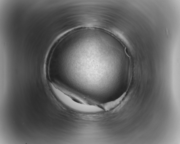 X0000088380932200706051057