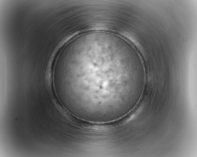 X0000088380933200706051057