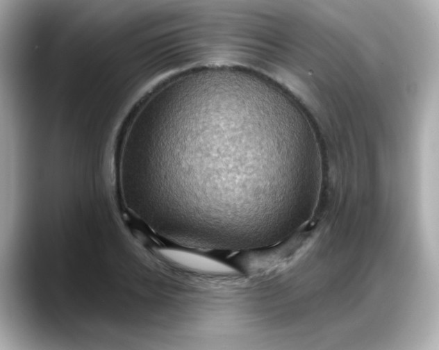 X0000088380934200706051057