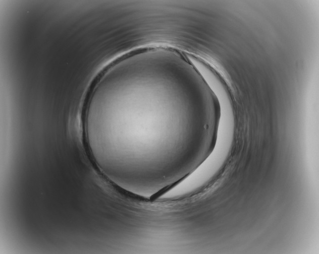 X0000088380936200706051057