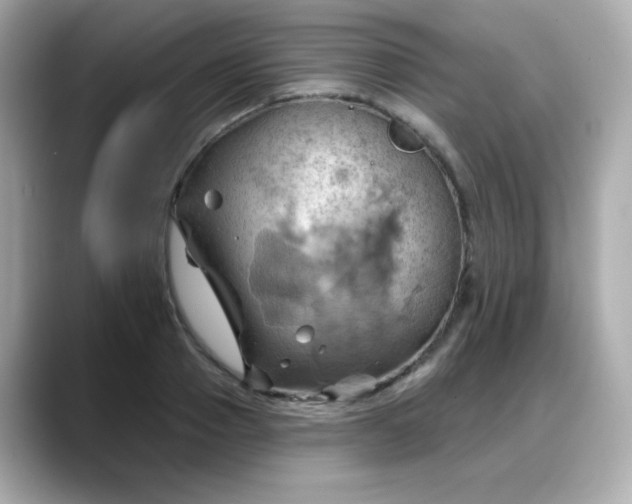 X0000088380937200706051057