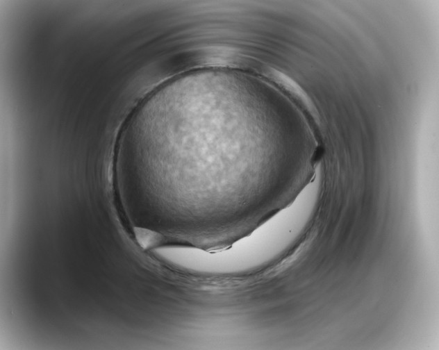 X0000088380938200706051057