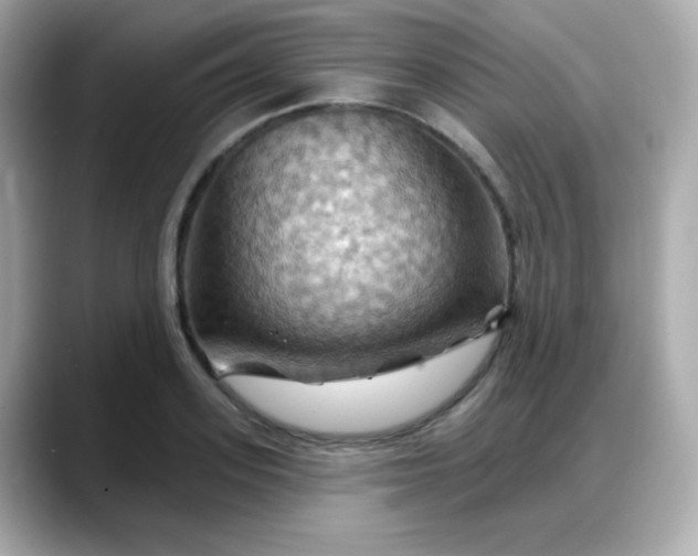 X0000088380939200706051057
