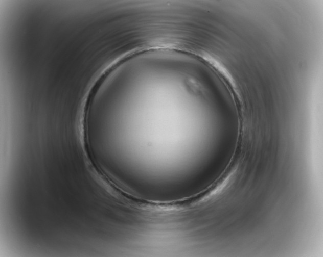 X0000088380941200706051057