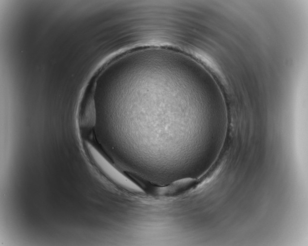 X0000088380942200706051057