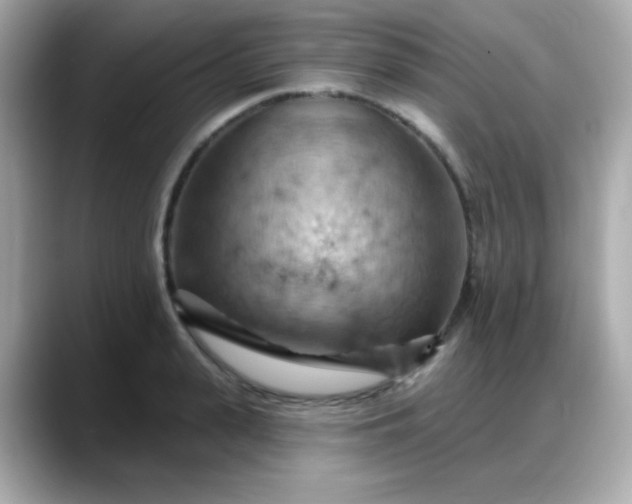 X0000088380943200706051057